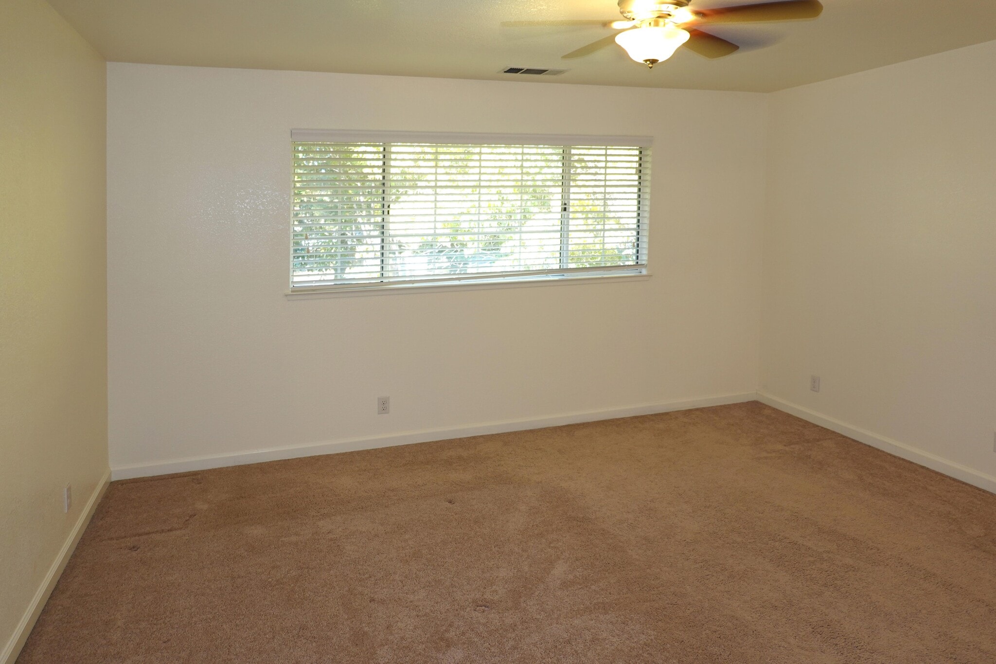 Primary Bedroom - 1013 Woodside Rd