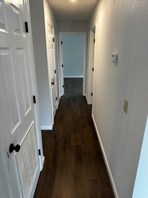 Building Photo - 119 Rockyreef Cir