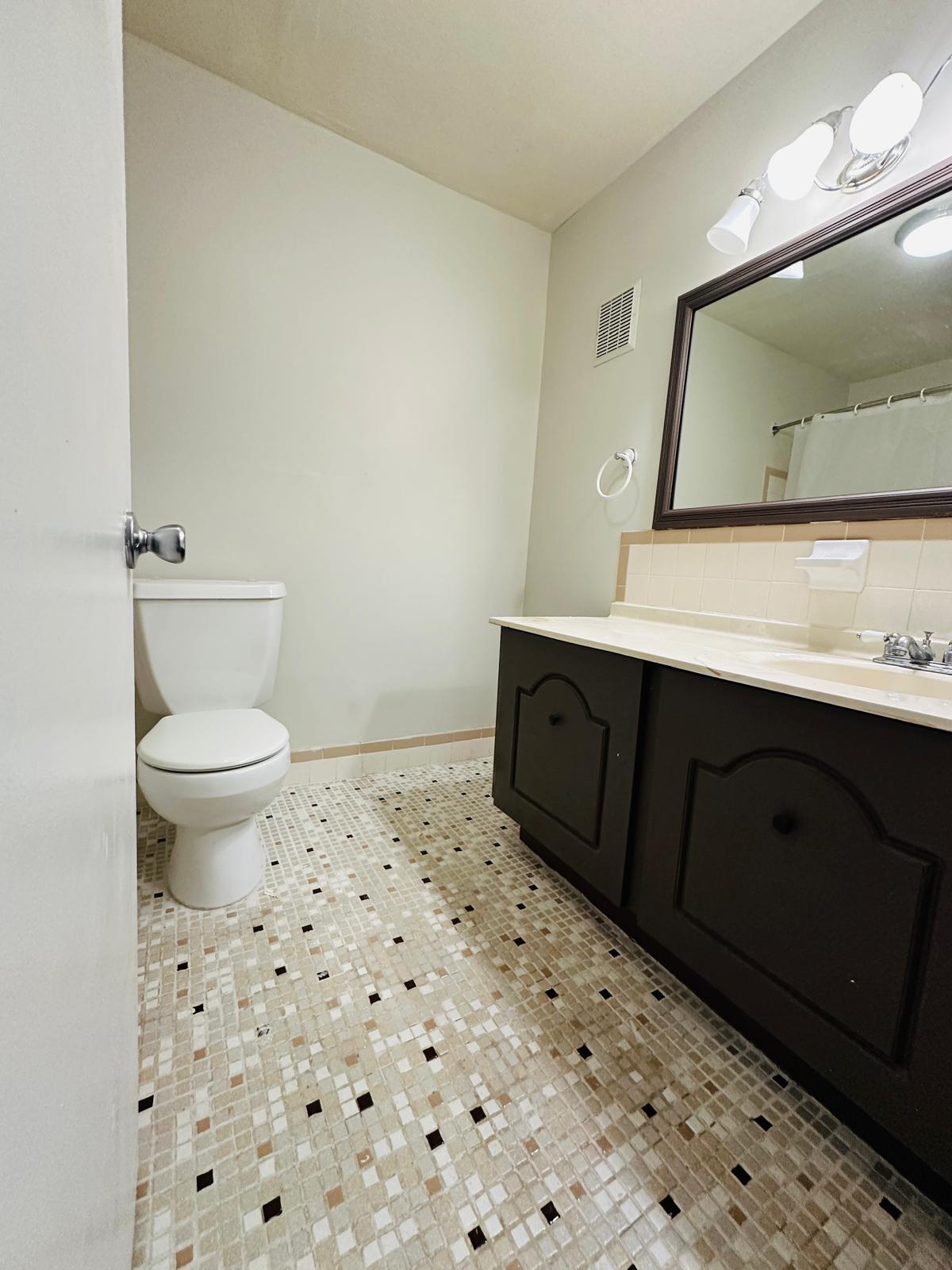 Hall Bathroom - 4908 W Brigantine Ct