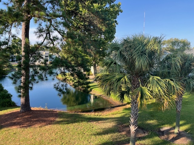 Bay Club- 1 Bedroom 1 Bath Condo for Rent- Pond Views- 2 miles to Sullivan's Island - 1481 Center St Ext