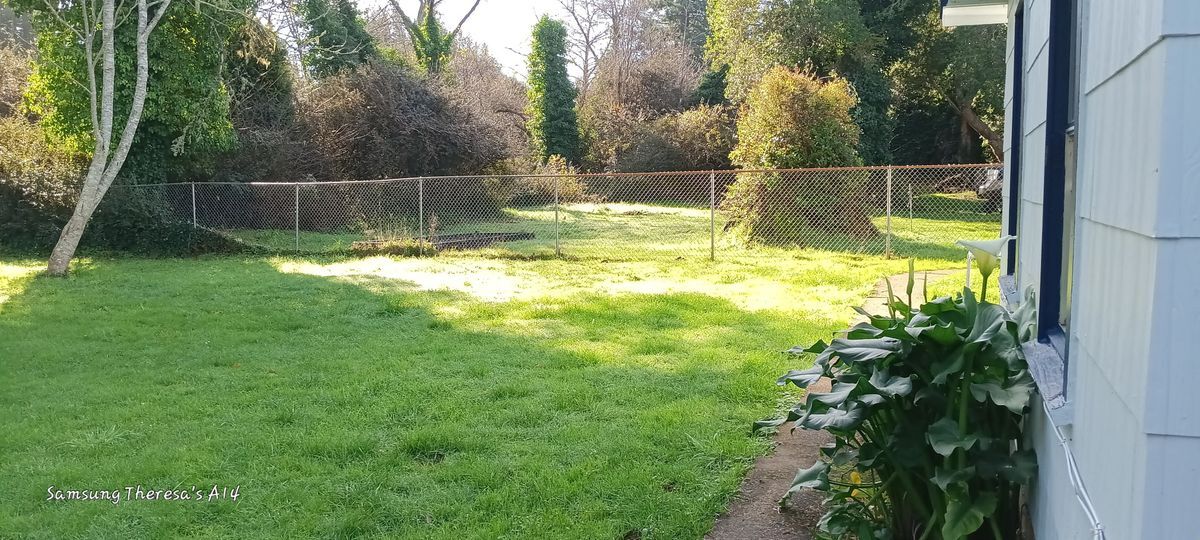 Building Photo - 2381 Elk Valley Cross Rd