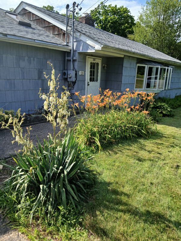 Primary Photo - 128 White Pond Rd