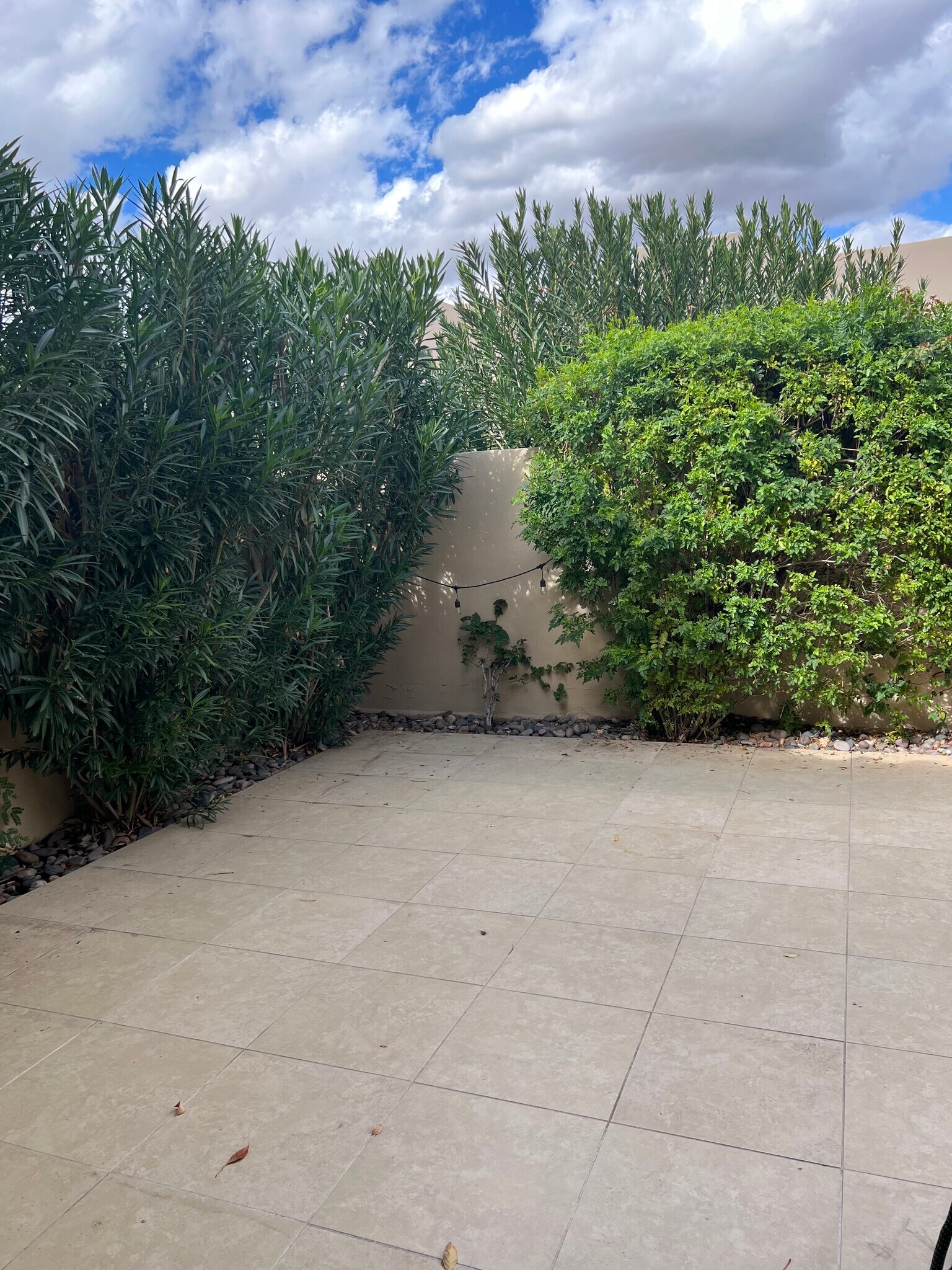 Building Photo - 9070 E Gary Rd