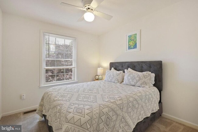 Building Photo - 11 Donagh Ct