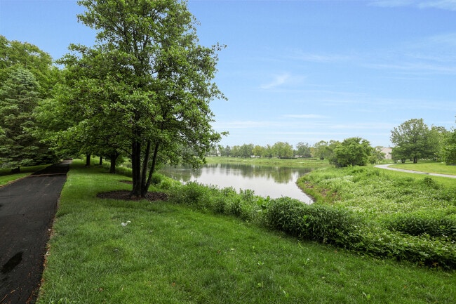 Building Photo - 540 Wedgewood Cir