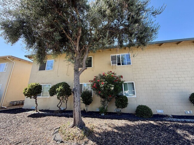 Building Photo - 1805 Bradford Way