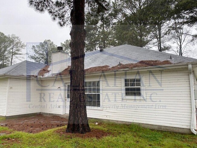 Building Photo - Cabot 3 bedroom with extra garage