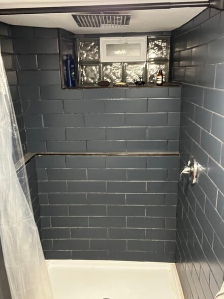 Basement Bathroom - Walk in shower - 5210 Dearborn St