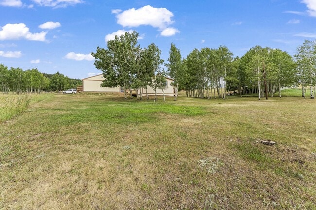 Building Photo - 215 Will Scarlet Dr