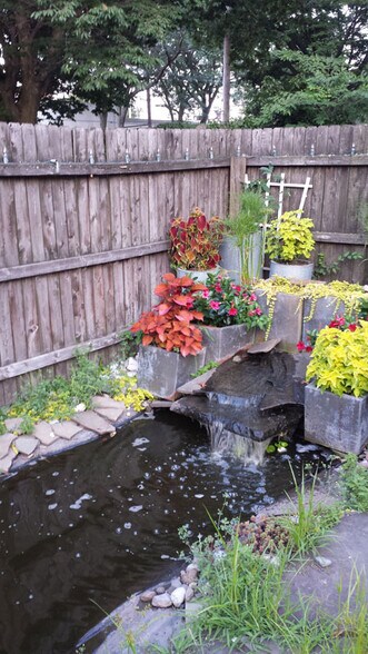 Koi Pond - 40 Lyon St