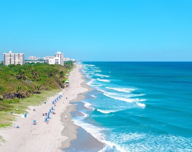 Building Photo - 1035 Spanish River Rd