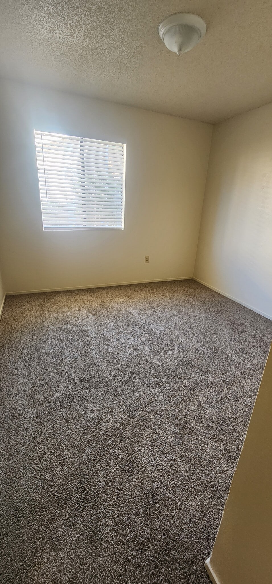Bdrm 2 - 5913 Auburn Oaks Dr