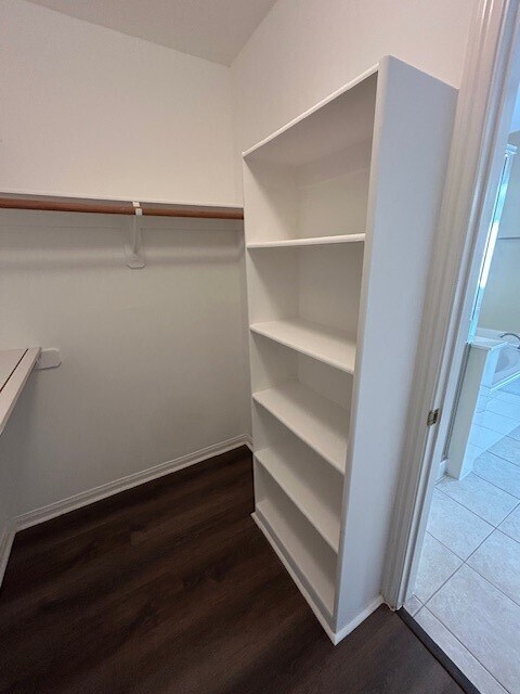 Building Photo - 19711 Morning Glory Terrace Ct