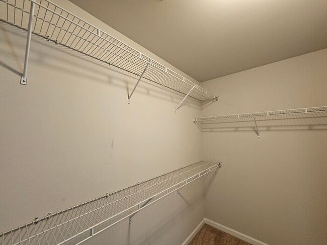 Building Photo - 513 Colony Lakes Dr