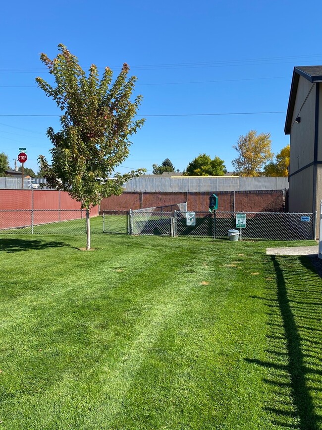 Fenced in Dog Park - Obsidian Apartments