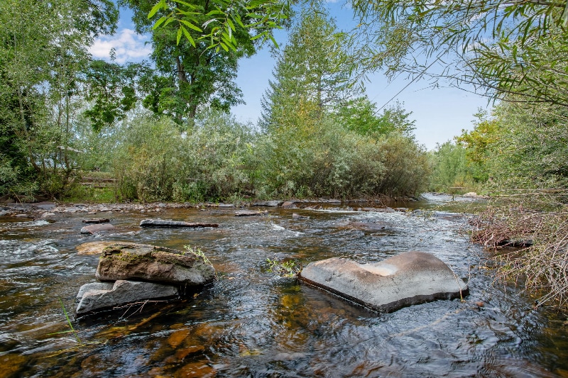 Building Photo - 317 Evans St