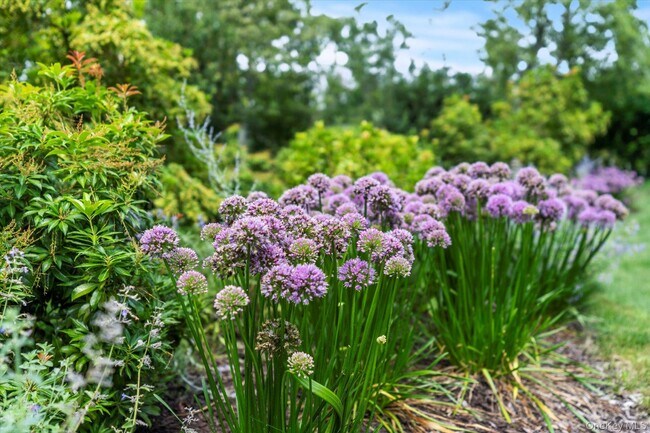 Building Photo - 45 Huckleberry Ln