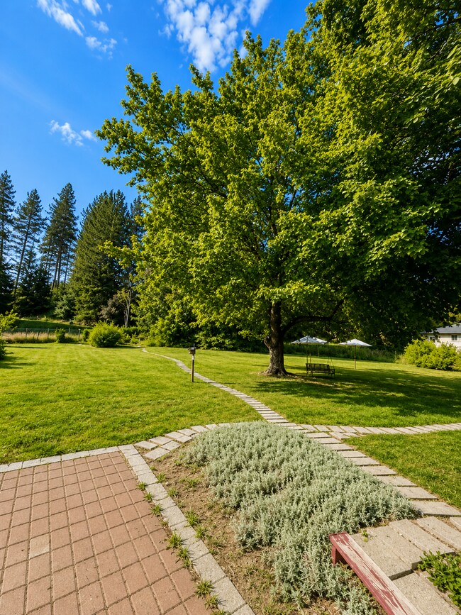 Building Photo - 9314 N Mountain View Ln