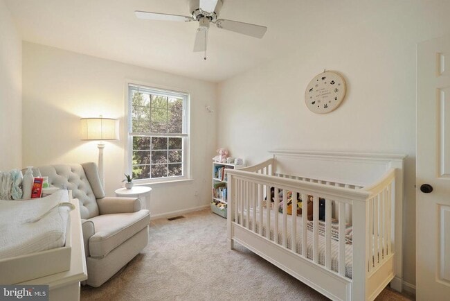 Building Photo - 11 Donagh Ct
