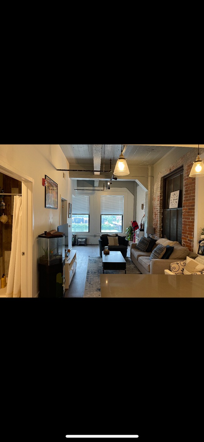 living room - 436 1st Ave
