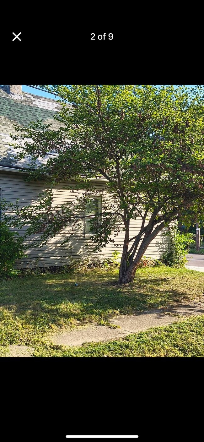 Building Photo - 215 St Jude Ave
