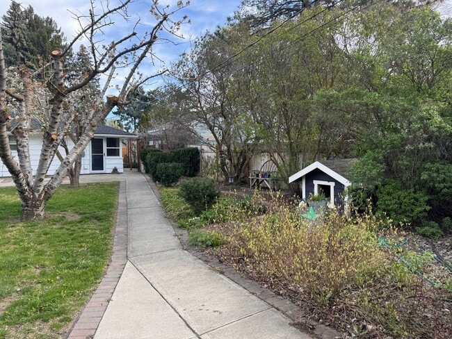 Building Photo - Spacious Home with Great Location