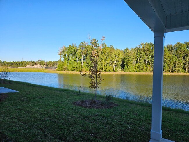 Building Photo - Brand new 3 bedroom, 2.5 bath Hampstead ho...