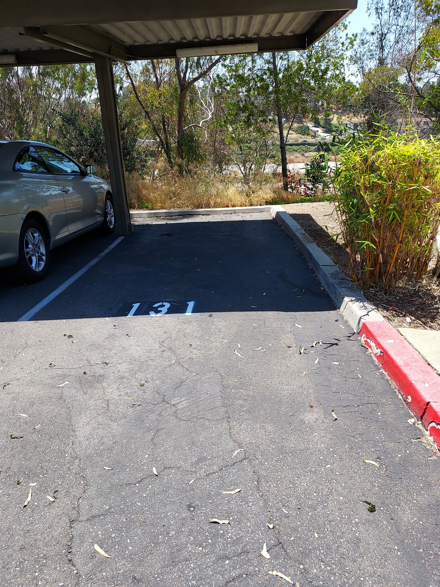 Carport Parking Spoit - 3625 Ash St