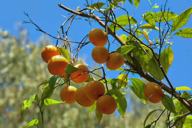 Building Photo - 605 Brightside Ln