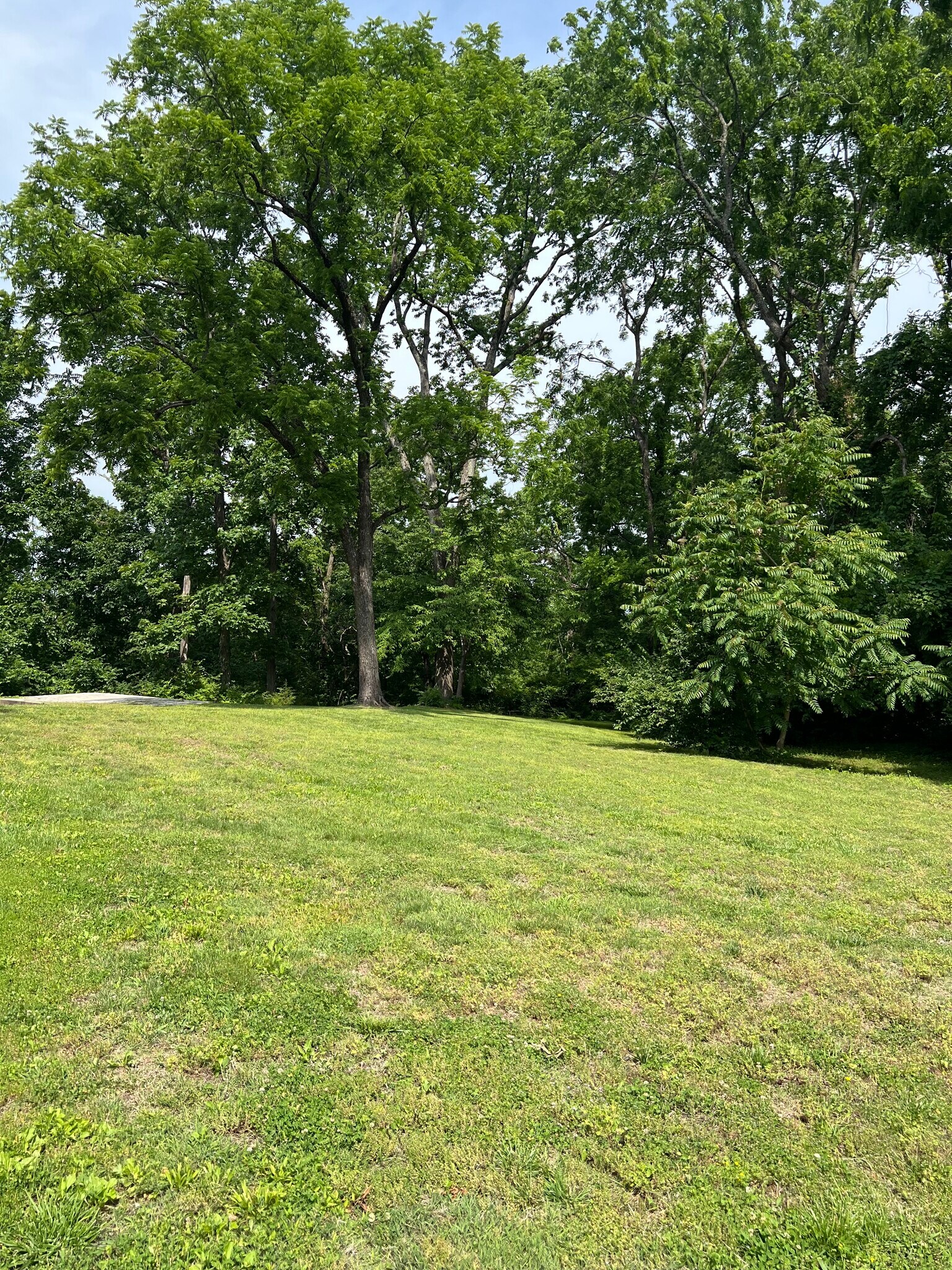 Parking available for two vehicles - 8442 McCrory Ln