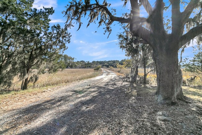 Building Photo - Spacious 3-Bedroom Home on Wadmalaw Island