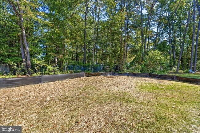 Building Photo - 703 Mattox Ave