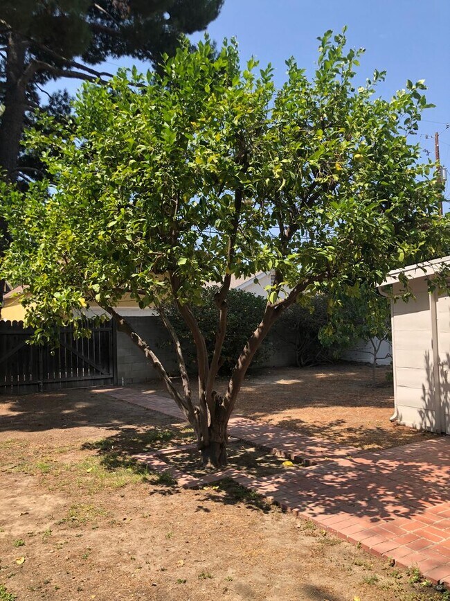 Building Photo - COMING SOON! Beautiful Home near Warner Brothers Studio! AVAILABLE 6/10/2026
