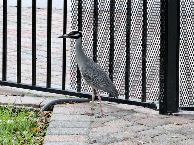 Building Photo - 1000 NE 14th Ave