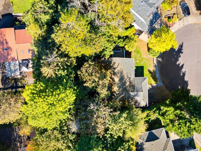 Building Photo - 1107 Meadowview Ct