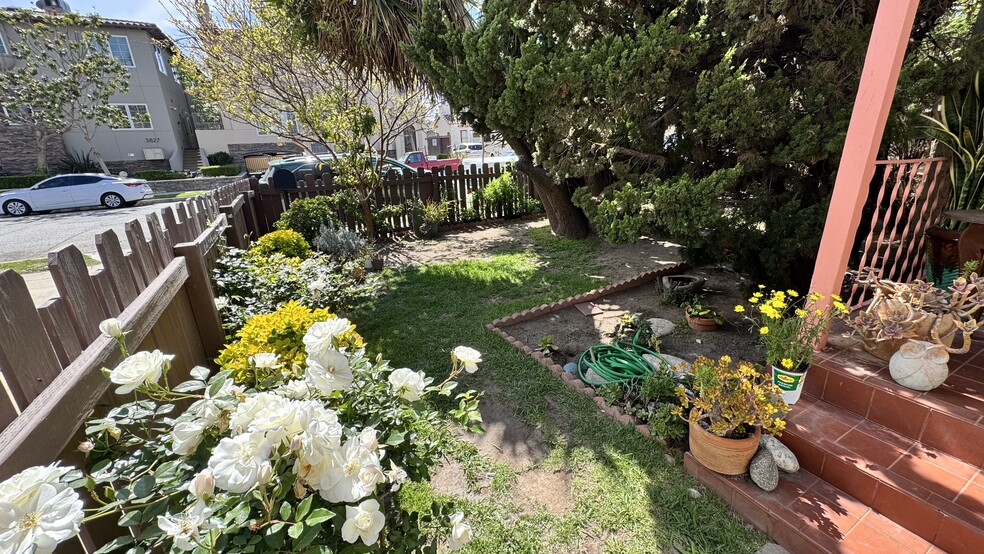 Front yard - 3822 Huron Ave