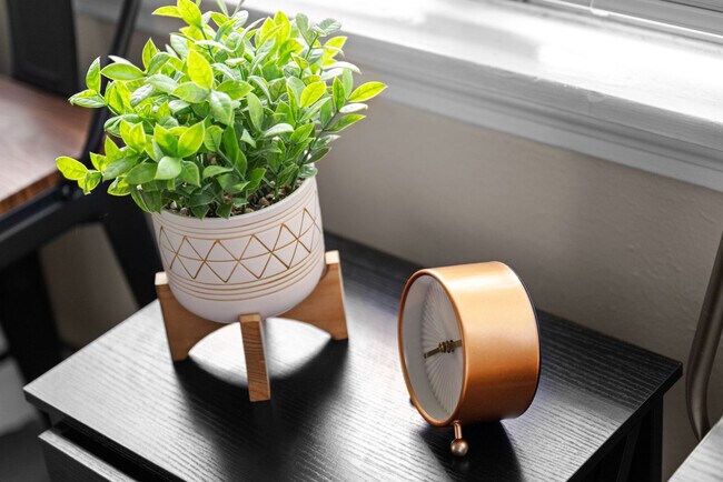 Building Photo - 4717 Edith St