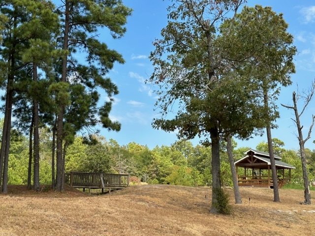 Picnic area with Fishing Pond - 406 Noel