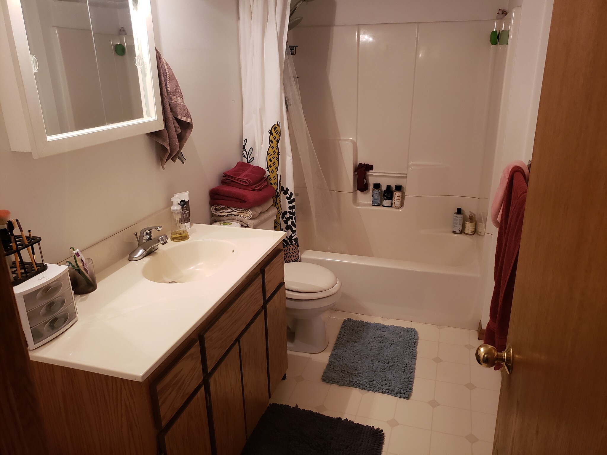 Lower Level Bathroom - 6274 15th St N