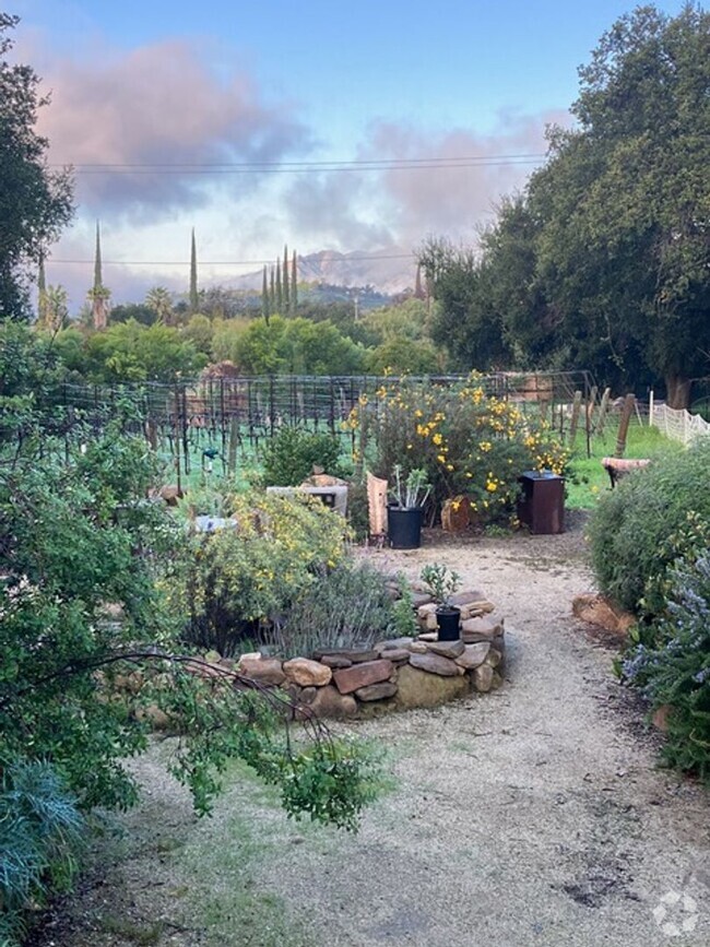 Building Photo - Lost Creek Upper Ojai