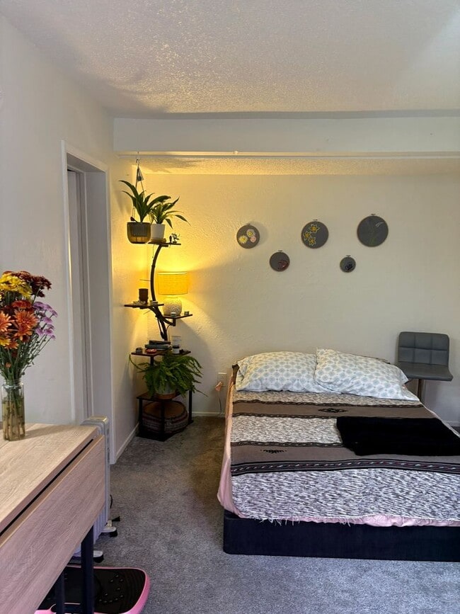 Building Photo - Newly Updated Studio In North Park