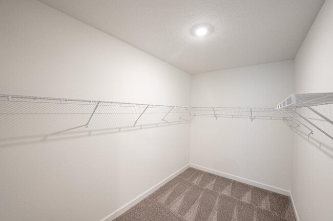 Building Photo - 3538 Angler Dr