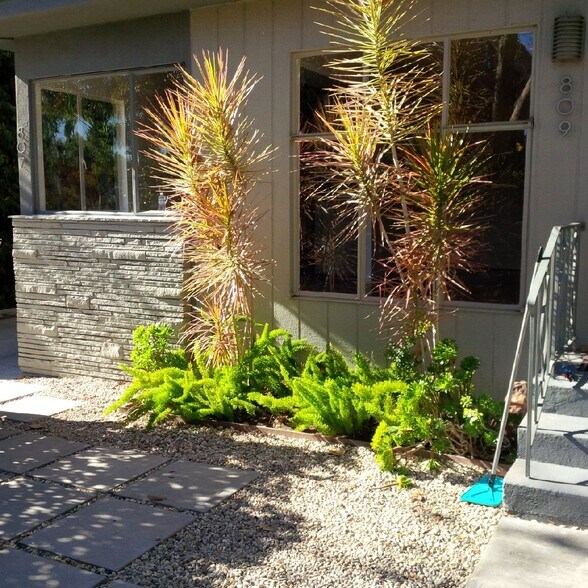 Building Photo - 809 N Las Palmas Ave