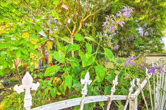 Building Photo - 2434 Cloverfield Blvd