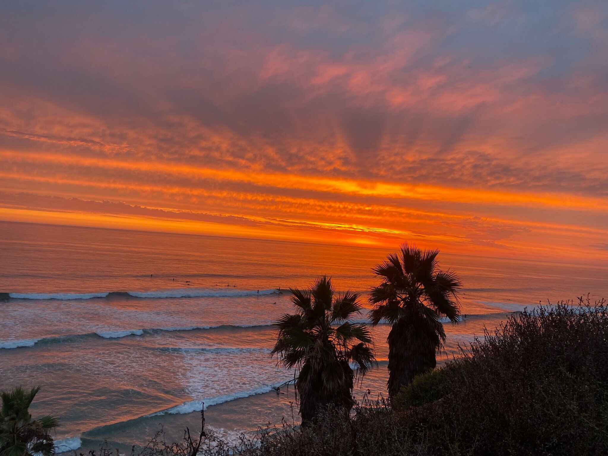 Building Photo - 970 Woodlake Dr