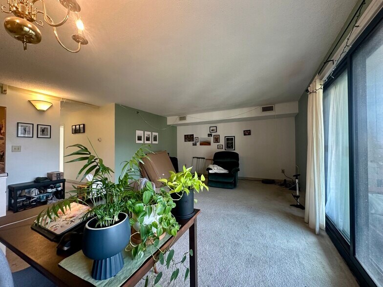 Primary Photo - 41 Marion St