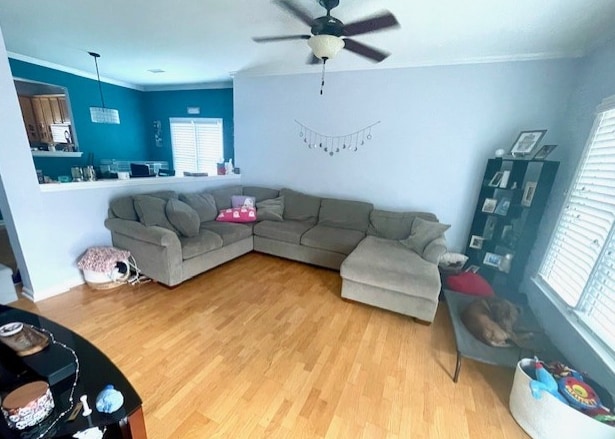 First floor- Living room area - 1207 Bungalow Park Dr