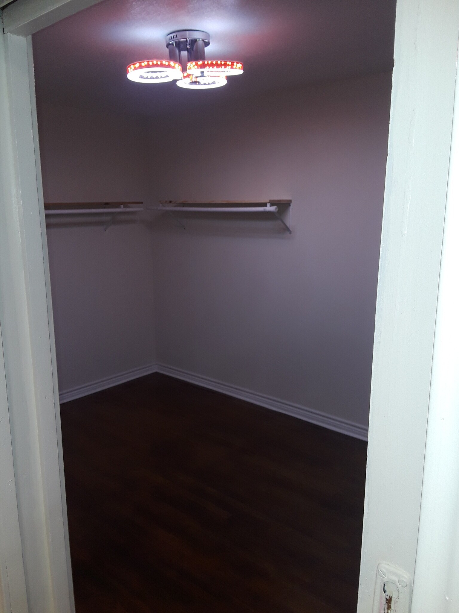 Building Photo - 7832 Elvera St