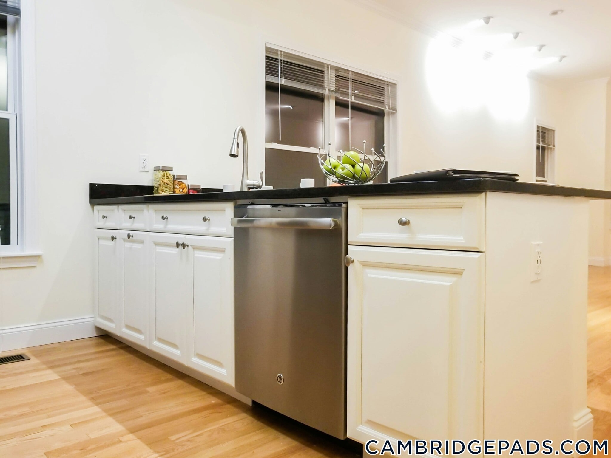 Building Photo - 15 Langdon St