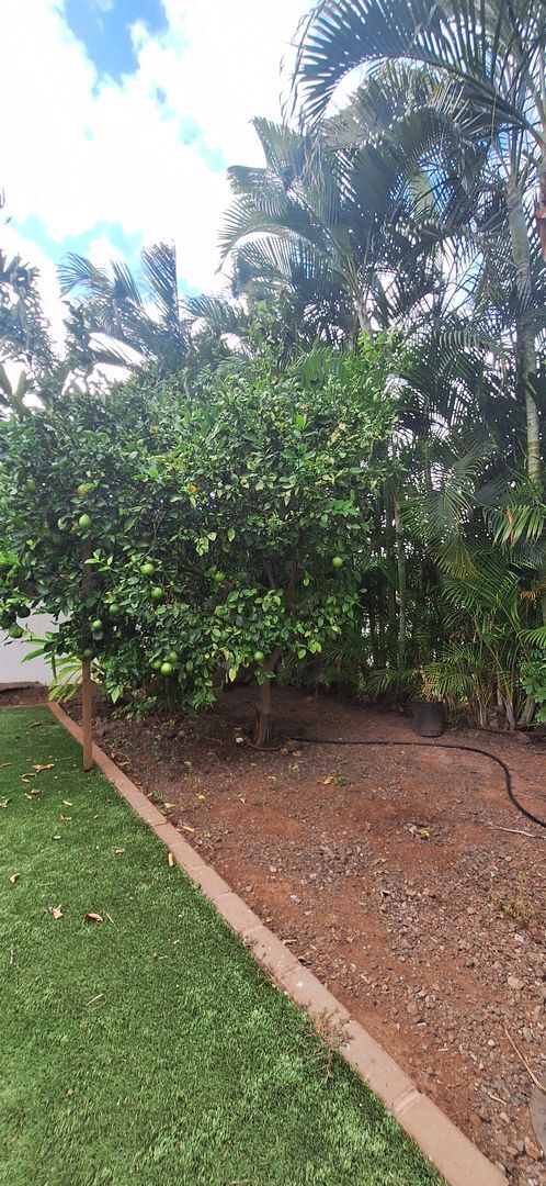 Building Photo - Honu Alahele 1 Bed 1 Bath